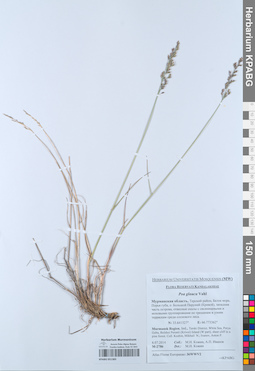 KPABG051383