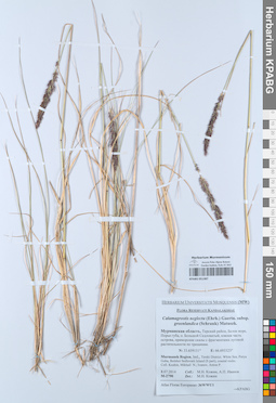 KPABG051387