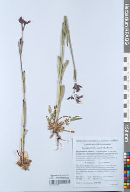 KPABG051398