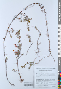 KPABG051403