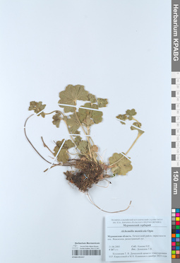 KPABG051417
