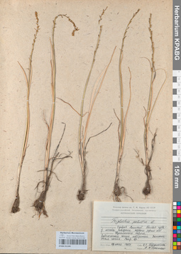 KPABG051504