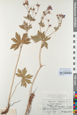 KPABG051511