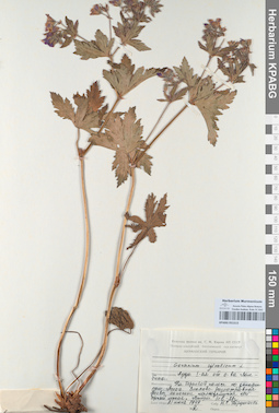 KPABG051515