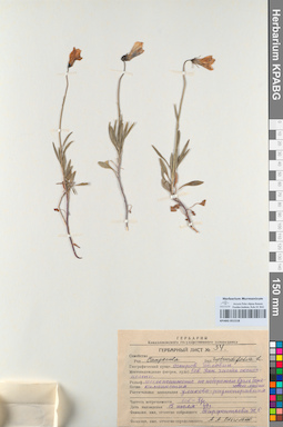 KPABG051518