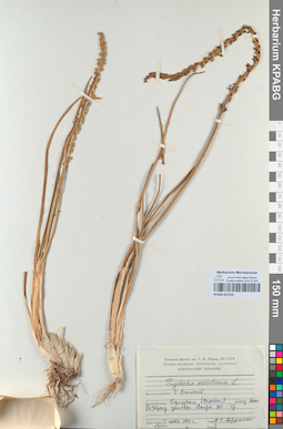 KPABG051526