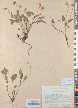 KPABG051535