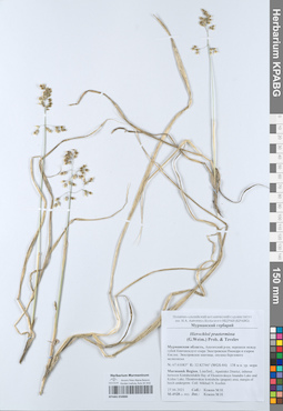 KPABG050880