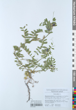 KPABG050886