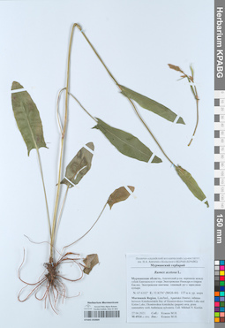 KPABG050889