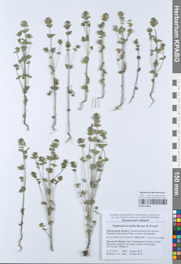 KPABG050892