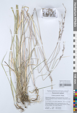 KPABG050896