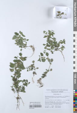 KPABG050899