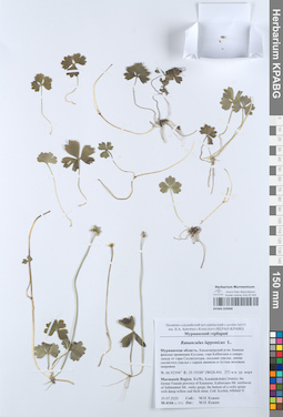 KPABG050900
