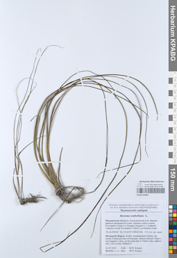 KPABG050901