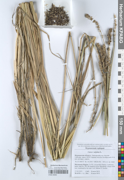KPABG050905