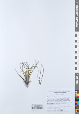 KPABG050906