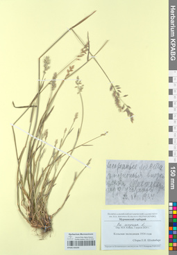 KPABG050295