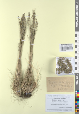 KPABG050300