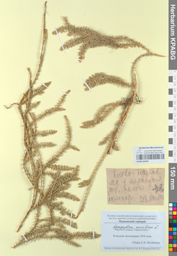 KPABG050305