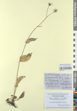 KPABG050334