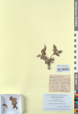 KPABG050336