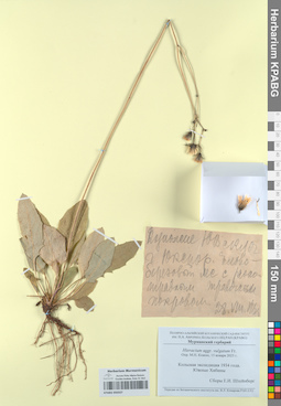 KPABG050337