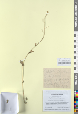 KPABG050339