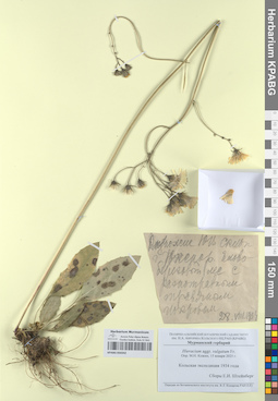 KPABG050342