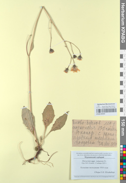 KPABG050343