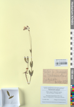 KPABG050344