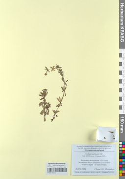 KPABG050348