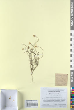 KPABG050351