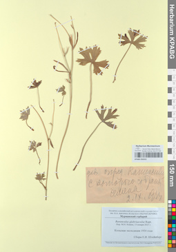 KPABG050352