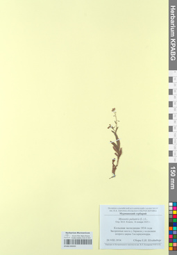 KPABG050355
