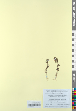 KPABG050360