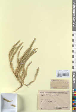 KPABG050363