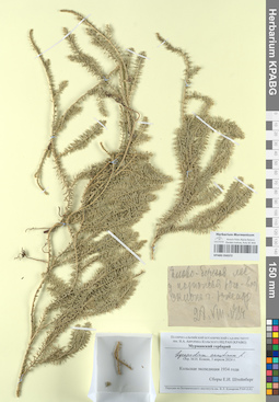 KPABG050372