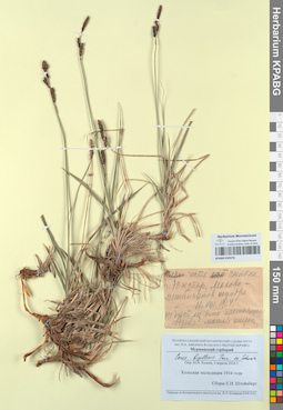 KPABG050378