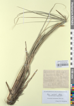 KPABG050381