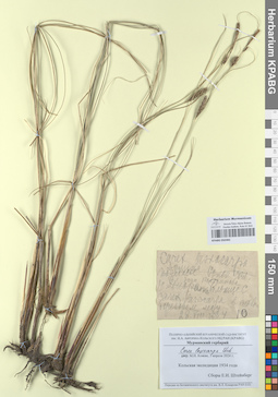 KPABG050382