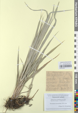 KPABG050385