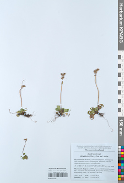 KPABG051256