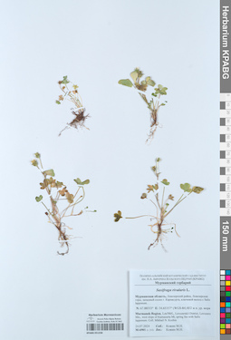 KPABG051258