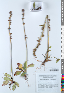 KPABG051259