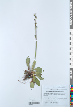 KPABG051261