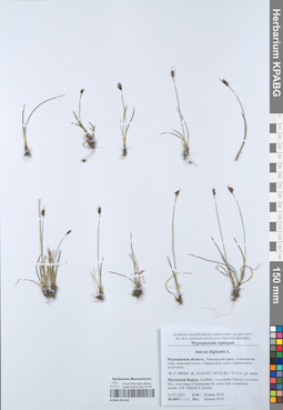 KPABG051263