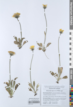 KPABG051265