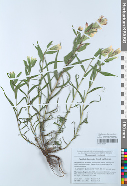 KPABG051274