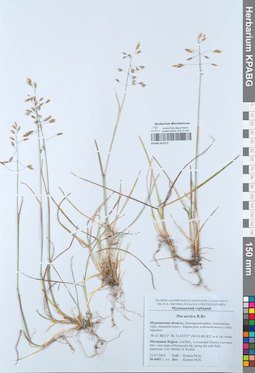 KPABG051277